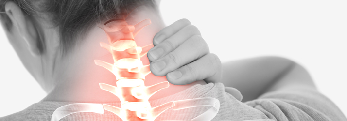 Chiropractic Elkhorn NE Neck Pain With Spine Illustration