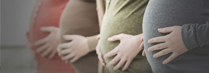 Chiropractic Elkhorn NE Pregnancy Four Bellies With Hands On